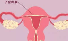 子宫内膜厚度多少才能移植胚胎？内膜厚度解析！