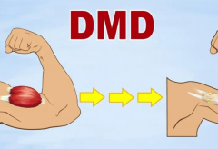 dmd携带者分享三代试管经历，看看别人是怎么成功的？