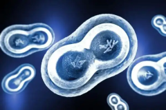 在南通妇幼保健院进行试管治疗，大致需要多少费用？