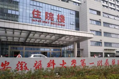 安医大一附院做试管收费多少？龙凤胎需要多少钱？