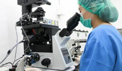 上海多囊卵巢综合症试管费用详解，2025年最新价格一览