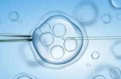 2025年成都单身男性三代试管费用详解：价格与流程全解析