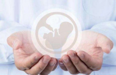 2025年高龄试管婴儿费用详解：一次成功要花多少钱？
