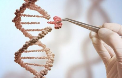 郑州高龄产妇医院选择指南：河南省人民医院、郑大三附院上榜