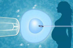 2025年重庆新桥医院试管费用曝光：3万起，成功率超50%