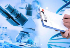 大连三代试管生'男'孩，价格只需10万？专家告诉你真相