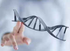 试管一次成功要多少钱？附2025年上海试管移植包成功价格内容！