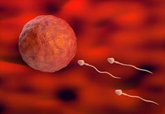 2025年全国供卵三代试管最好医院排名？附医院详情名单！