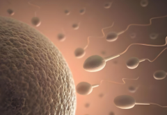 HIV患者洗精费用大揭秘：全球各国价格差异惊人！