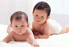 郑州试管婴儿包生双胞胎男孩多少钱？2025年价格及流程全揭秘！