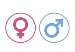 深圳三代试管技术选生男宝费用需要多少？附上试管原理和方式！