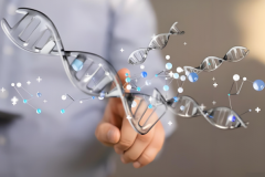 2025年乌克兰试管指定性别指南：费用、流程与注意事项！