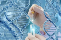 2025年重庆试管供卵医院排名：4家正规机构推荐！