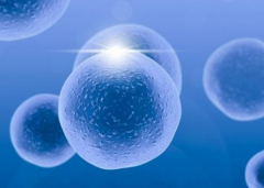 2025年天津市第一人民医院试管费用全解析：附成功率及案例分享