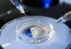 海外三代试管包成功医院推荐：2025年高性价比选择