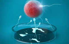 南昌妇幼试管费用详解：2025年价格、流程及成功案例分享
