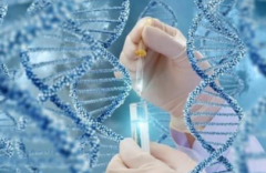 乌克兰试管高龄试管费用高吗？性价比分析与选择建议