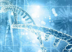 2025年温州试管费用范围：一次试管的经济成本！