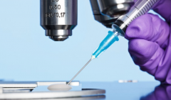 东莞失独家庭试管医院怎么选？专家推荐这几家医院