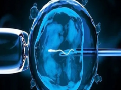泰国同性试管费用全解析：2025年最低15万起，如何规划预算？
