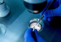 广州供卵试管婴儿价格一览：2025年最新费用指南！