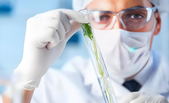 新疆试管医院哪个好？2025年新疆试管比较专业的医院名单盘点​！