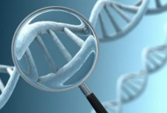 泰国第三代试管（PGT）费用全解析：染色体异常如何收费？