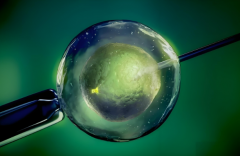 兰州做试管如何一次成功？这三家医院口碑最佳，拒绝白花钱！