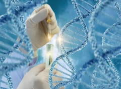 上海多囊卵巢综合症试管医院推荐：2025年最新选择指南
