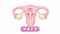 卵巢早衰想怀孕，试管要花多少钱？成功率翻倍的3个关键策略！