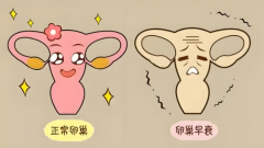 卵巢功能减退做试管能成功吗？2025最新费用+成功率全解析！