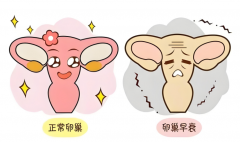 卵巢早衰被判“生育死刑”？做试管前必看的救命指南！