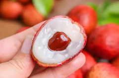 孕妇吃番荔枝真的好吗？南昌做试管该选哪家？一文讲透！