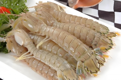 移植怀孕后能吃皮皮虾吗？安全食用指南+替代推荐