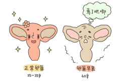 卵巢早衰做试管移植成功率高吗？花多少钱能成功怀孕?