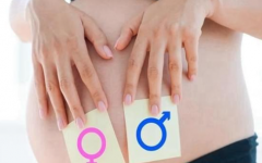 广州做三代试管可以生男孩吗？广州做三代试管生男孩的医院排名汇总！