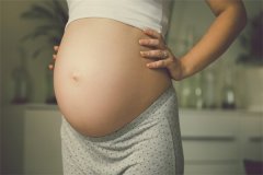 试管胎停后多久能再怀孕？五大必查项目助你科学备孕！
