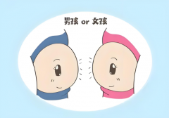 北京试管选择性别需要多少钱？2025年费用解读与法律风险提醒！