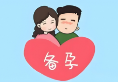 【试管备孕指南】试管前日常如何通过饮食、运动改善自身激素水平和卵子质量?