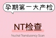 试管孕妈必看！NT检查全攻略：轻松过关，接好孕！