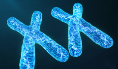 试管前男性y染色体微缺失检测有做的必要吗?