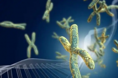 北京三代试管婴儿成功率高的私立服务机构，排名五强机构名单